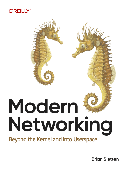 Modern Networking book cover with two sea horses